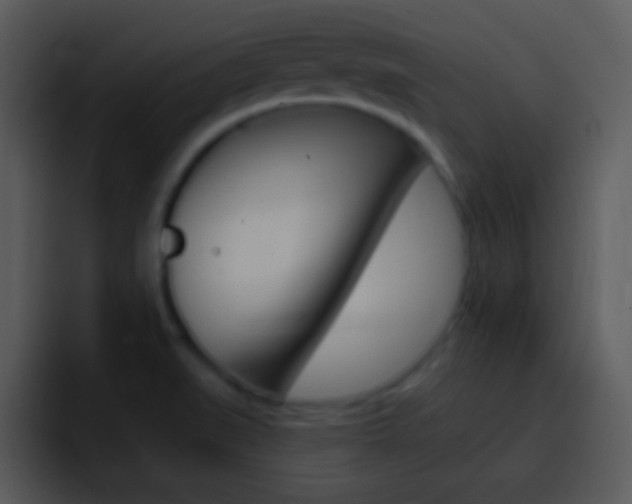 X0000096981519200802080849