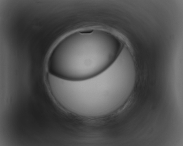 X0000096981520200802080849