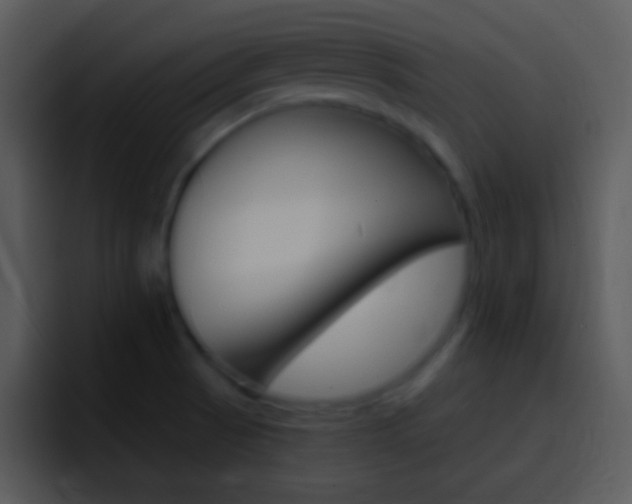 X0000096981521200802080849