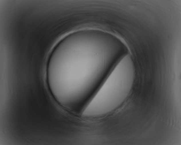 X0000096981523200802080849
