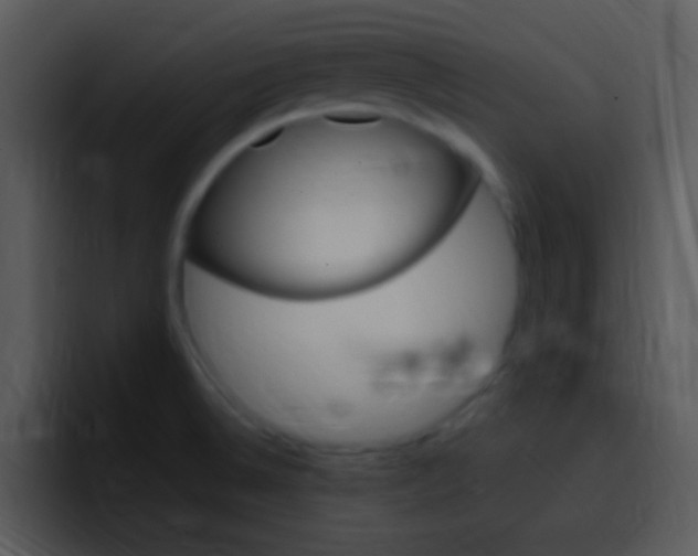 X0000096981524200802080849