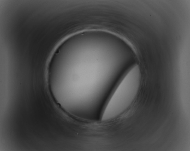 X0000096981527200802080849