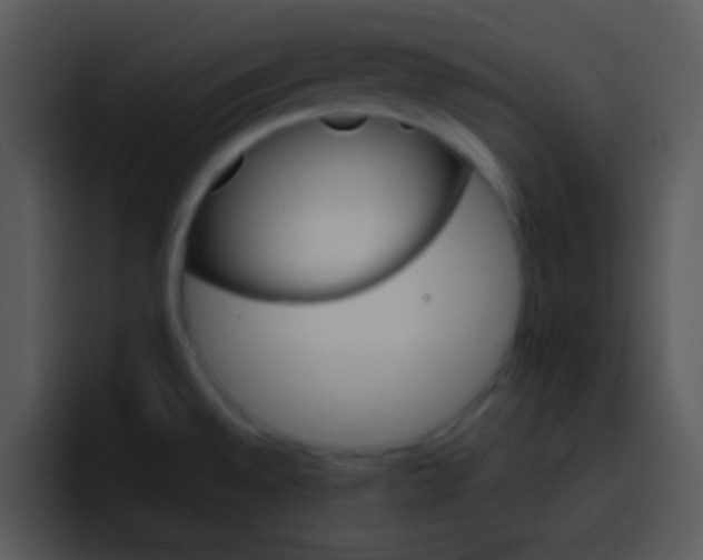 X0000096981528200802080849