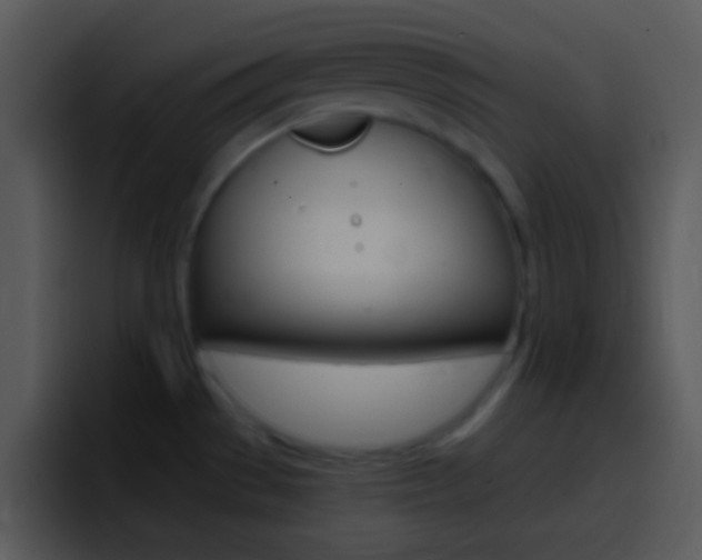 X0000096981529200802080849
