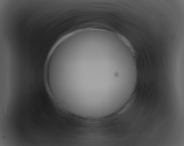 X0000096981530200802080849