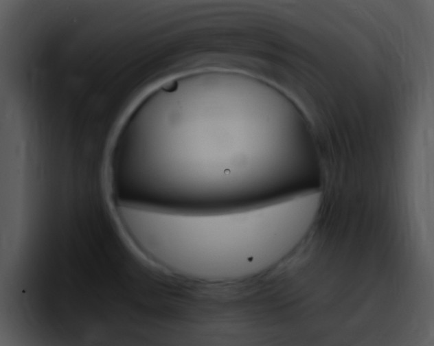 X0000096981531200802080849