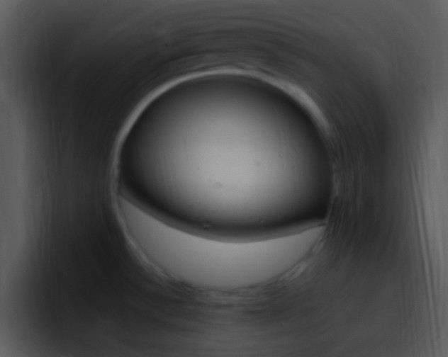 X0000096981532200802080849