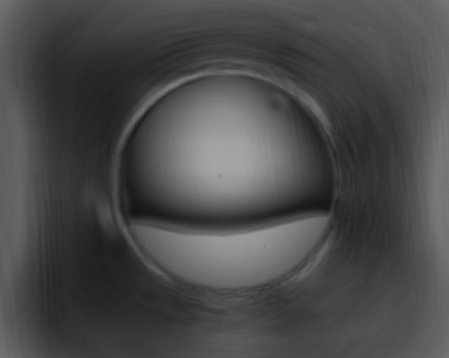 X0000096981533200802080849