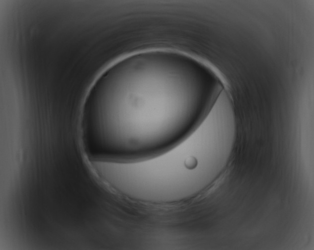 X0000096981534200802080849