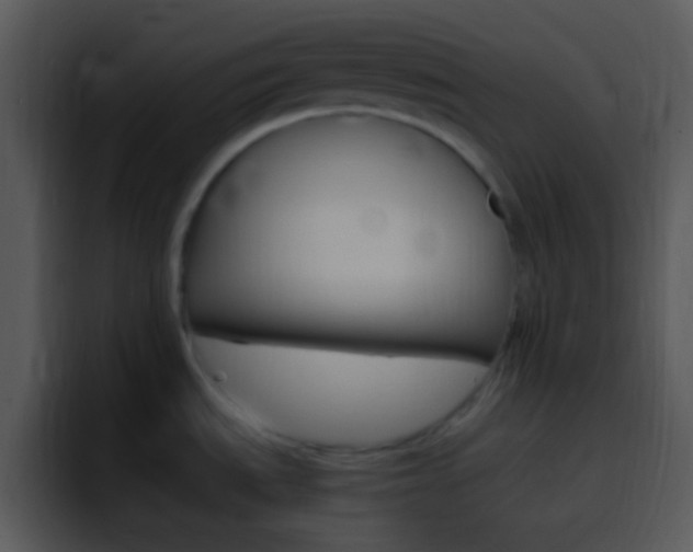 X0000096981535200802080849