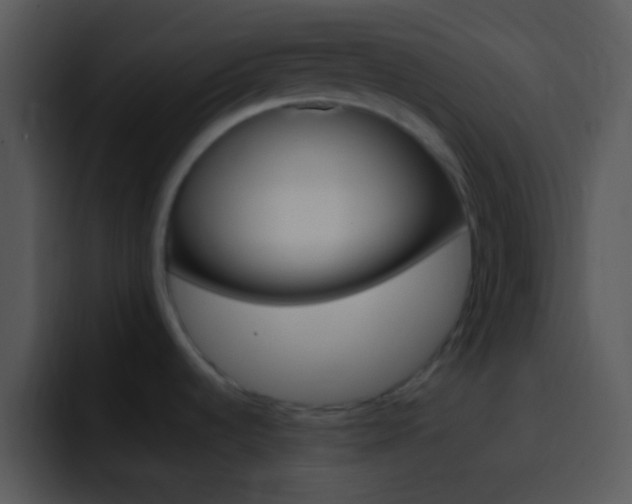 X0000096981536200802080849