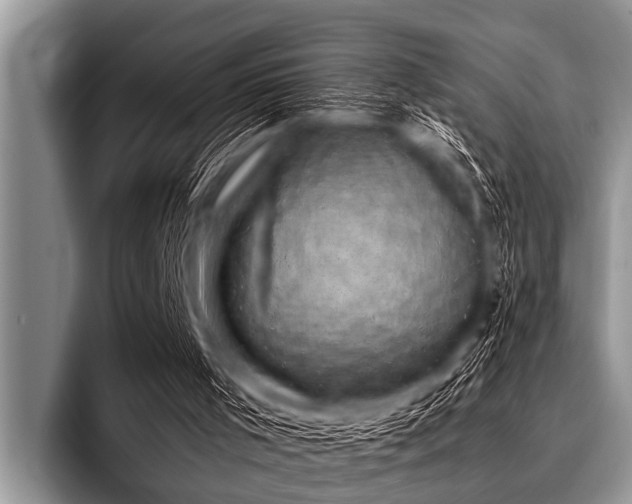 X0000096980001200802081417