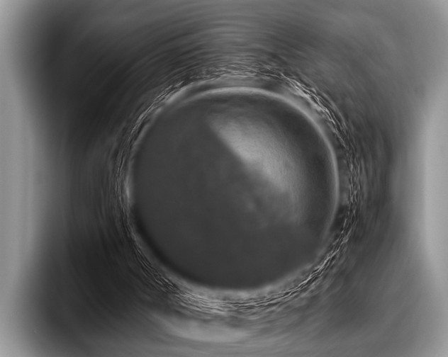 X0000096980002200802081417