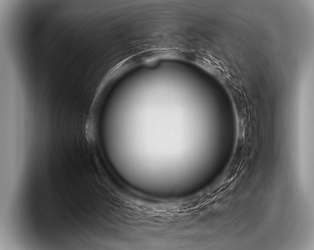 X0000096980004200802081417