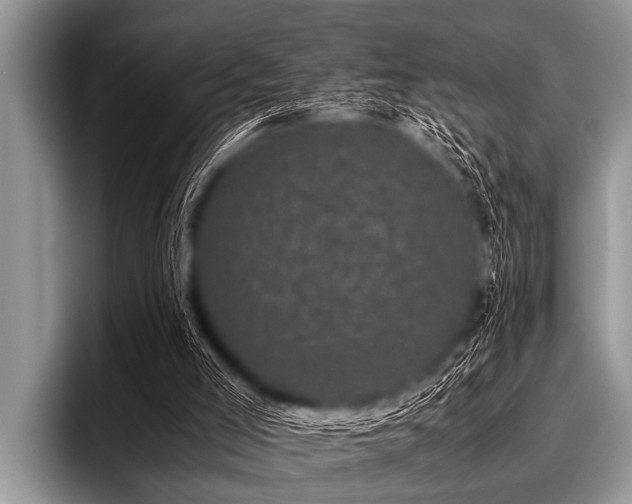 X0000096980005200802081417