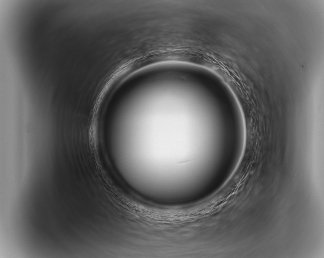 X0000096980006200802081417