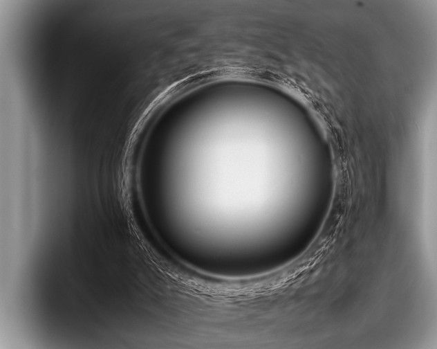 X0000096980007200802081417