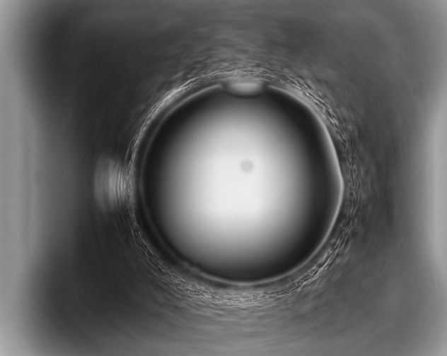 X0000096980008200802081417