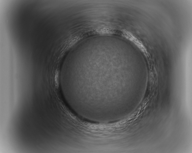 X0000096980009200802081417