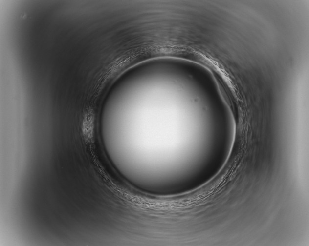 X0000096980010200802081417