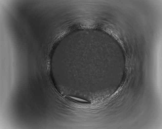 X0000096980017200802081416