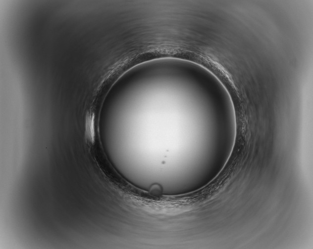 X0000096980020200802081416