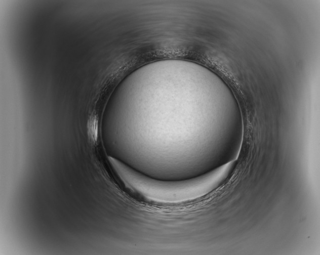 X0000096980021200802081416