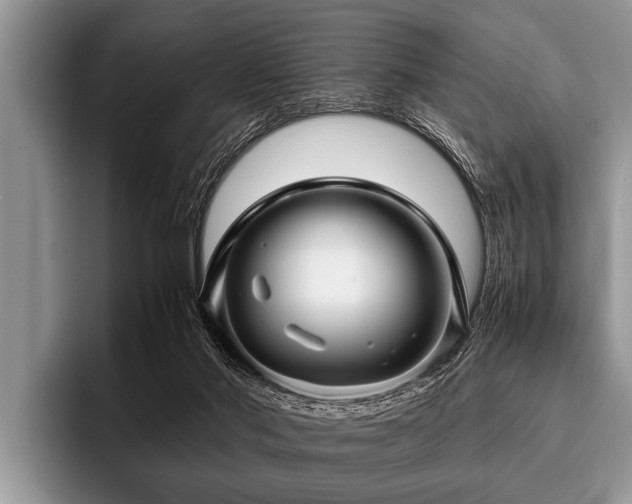 X0000096980022200802081416