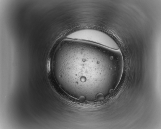 X0000096980024200802081416