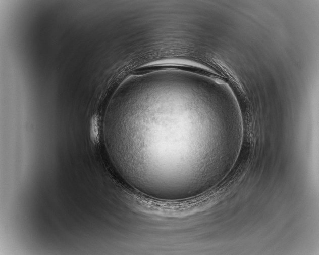 X0000096980026200802081416