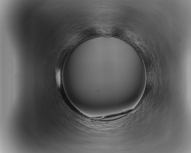 X0000096980027200802081416