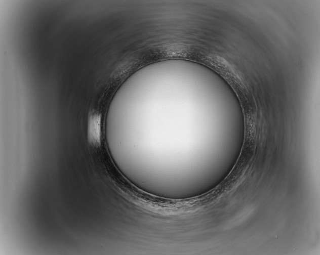 X0000096980028200802081416