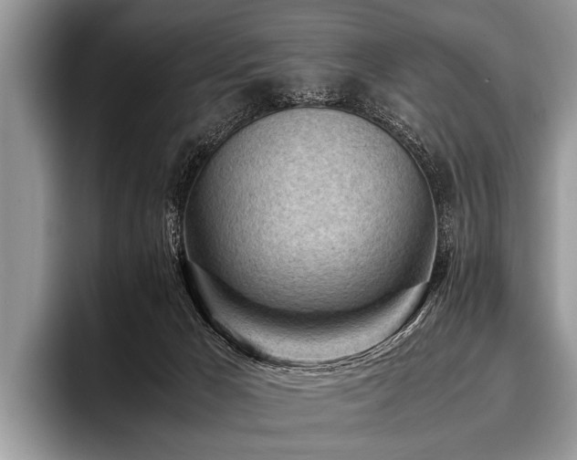 X0000096980029200802081416