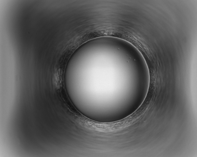 X0000096980030200802081416