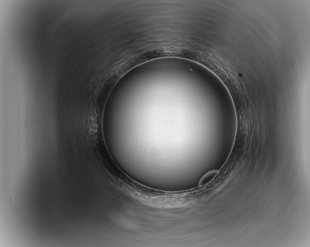 X0000096980032200802081416