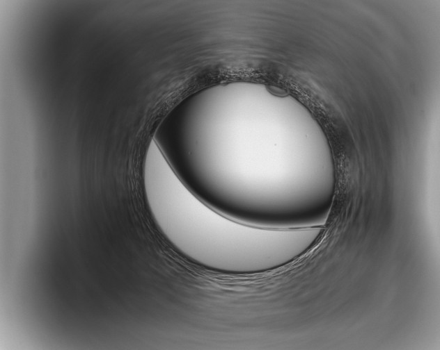 X0000096980033200802081416