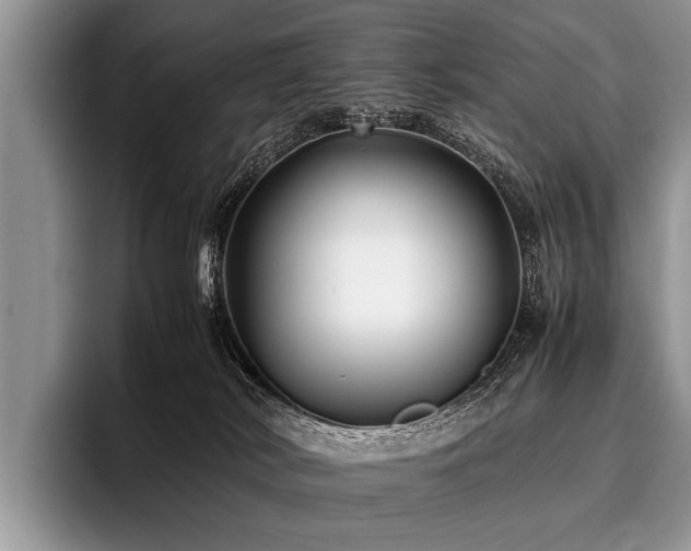 X0000096980038200802081416