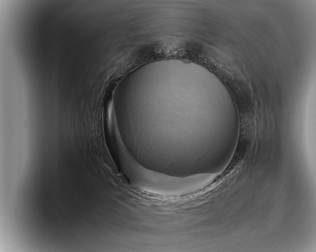 X0000096980039200802081416