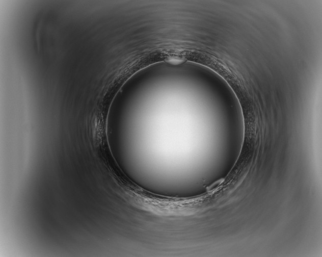 X0000096980040200802081416