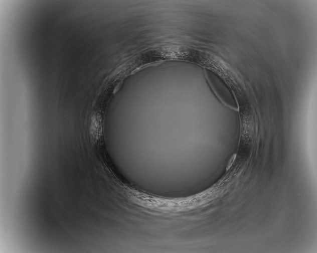 X0000096980043200802081416