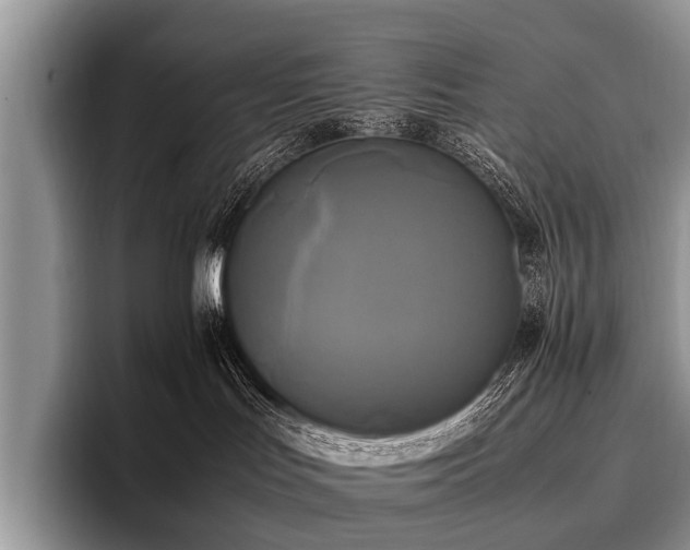 X0000096980047200802081416