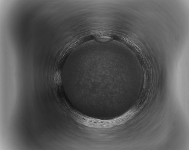 X0000096980048200802081416