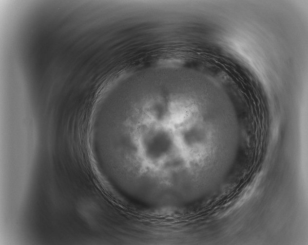 X0000096980049200802081415