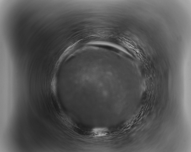 X0000096980051200802081415