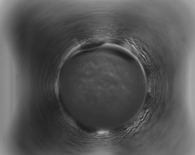 X0000096980052200802081415