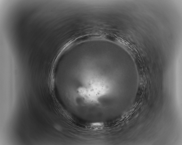 X0000096980053200802081415