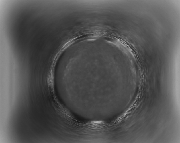 X0000096980055200802081415