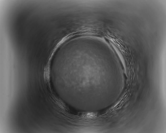 X0000096980056200802081415