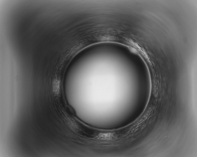 X0000096980057200802081415