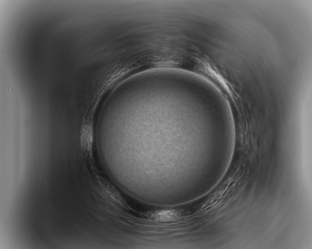 X0000096980059200802081416